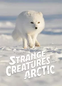 Strange Creatures of the Arctic (2022)