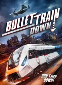 Bullet Train Down (2022)