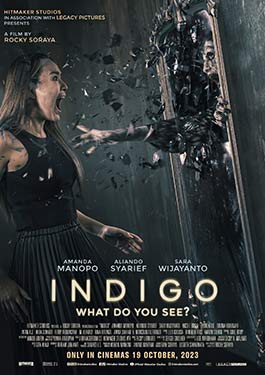 Indigo (2023) เธอเห็นอะไร