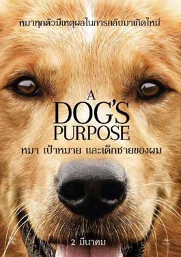 A Dog’s Purpose (2017) หมา เป้าหมาย และเด็กชายของผม