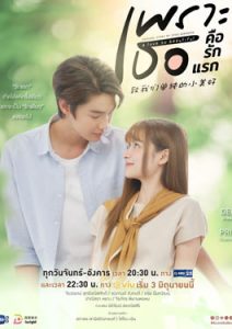 A Love So Beautiful (2024) เพราะเธอคือรักแรก